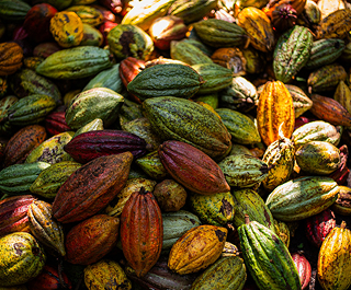 Bean-to-Bar