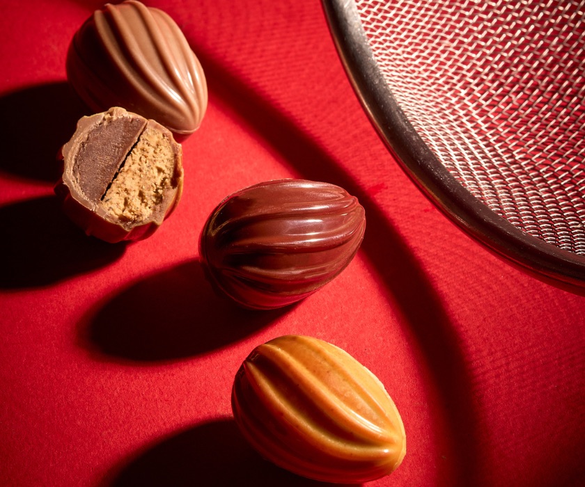 Plumier 12 christmas cacao pods
