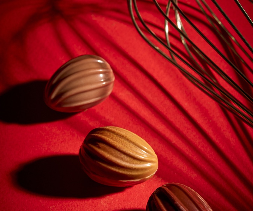 Malline 24 christmas cacao pods