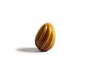 Ganache chocolat au lait & confit de pomme  Pierre Marcolini