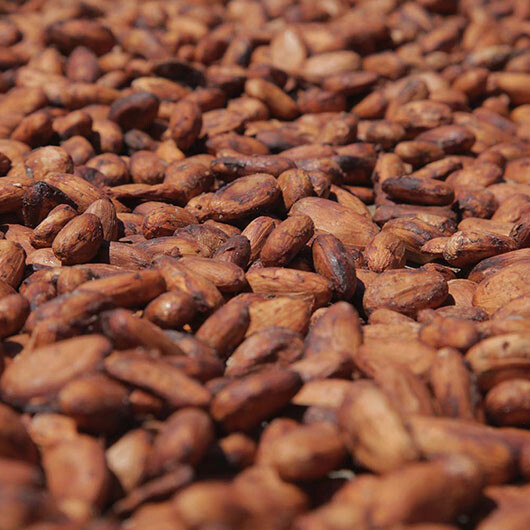 pierre marcolini savoir faire sechage