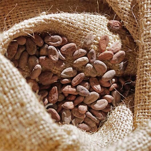 pierre-marcolini-2019-engagement-d-un-chocolat-durable-torrefaction-maison-grands-crus-chocolat-530x530
