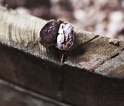ChocolatDurable 2 LaMaison 410x350